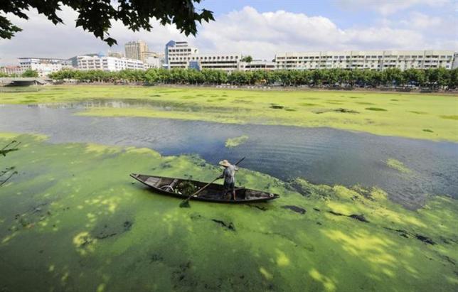 Según el reporte, la mitad de los ríos en Asia se encuentran contaminados debido a la falta de tratamiento en aguas residuales. 