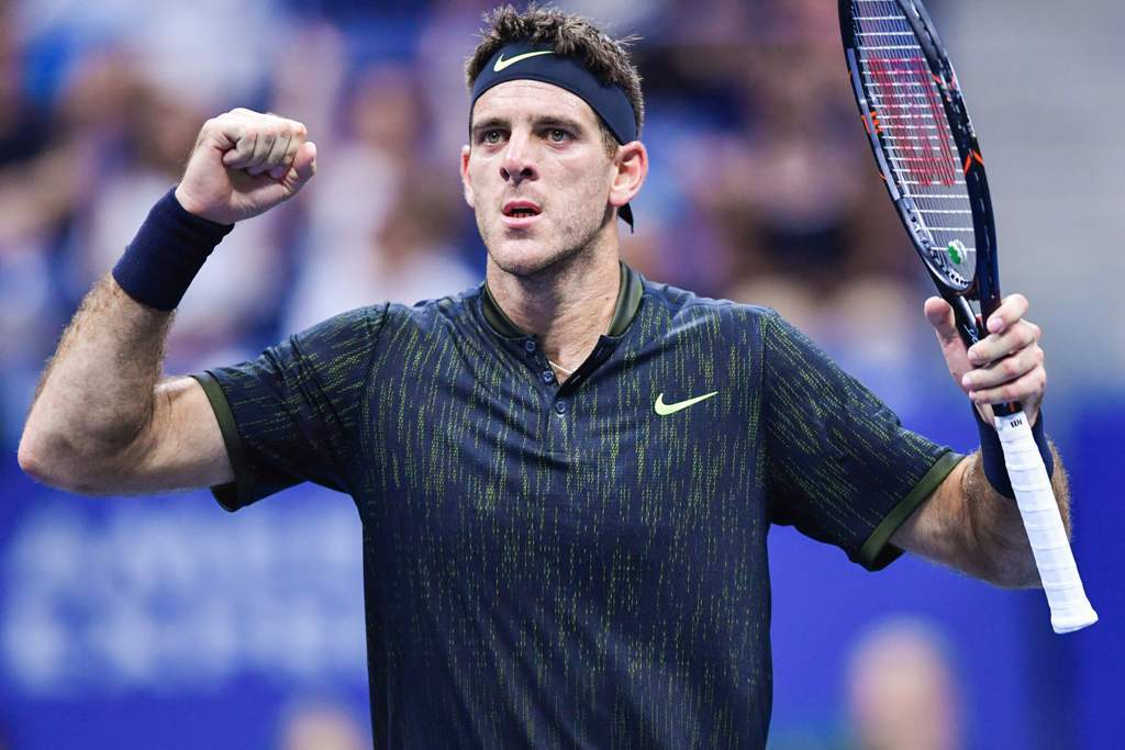 Juan Martín del Potro 