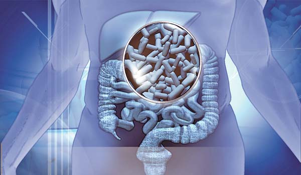 El uso de estas bacterías se recomienda ante diarreas agudas, cólicos infantiles y el uso de antibióticos.