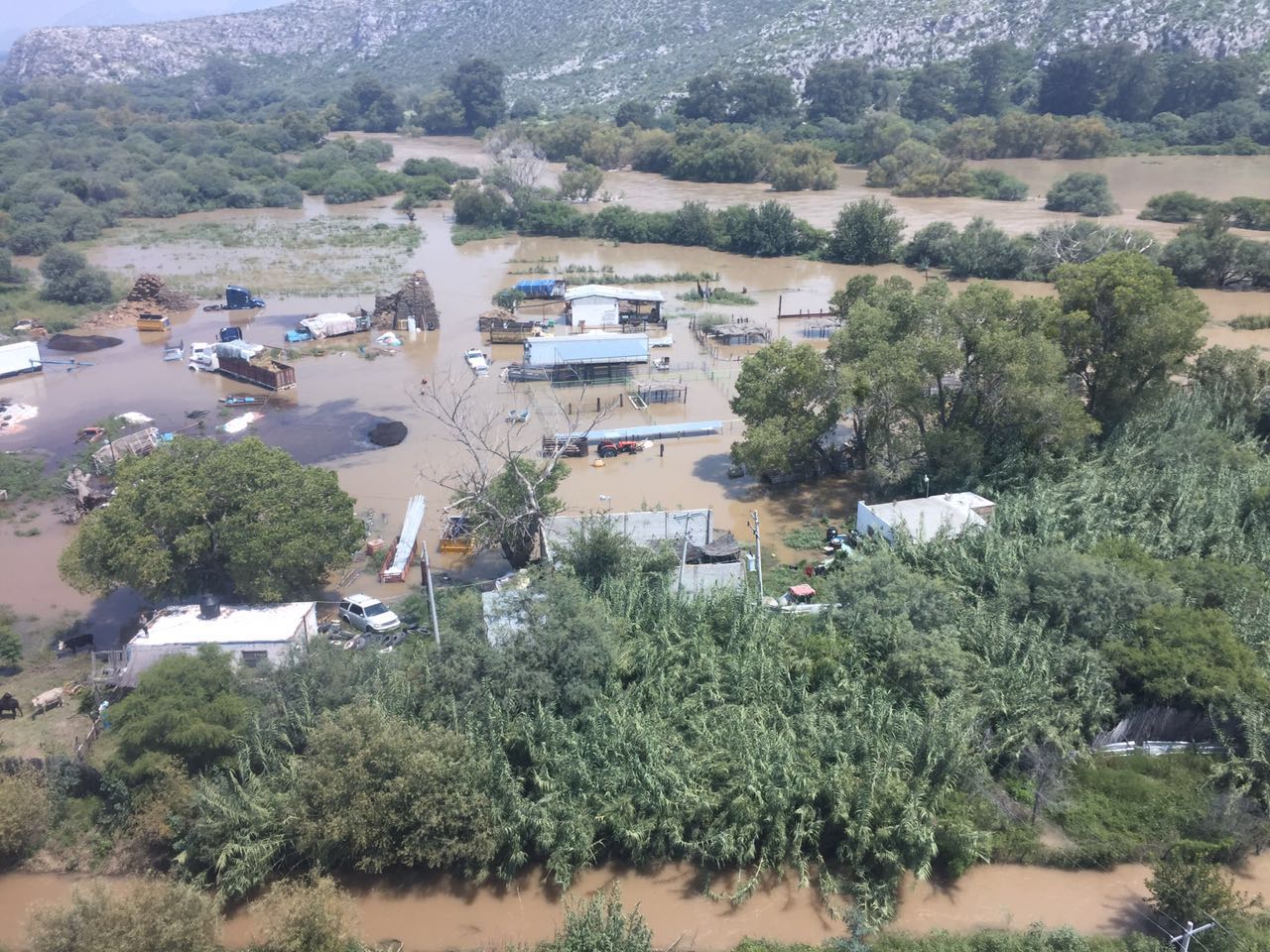 Eío Nazas inundó 60 establos en ejidos y villas de Lerdo.