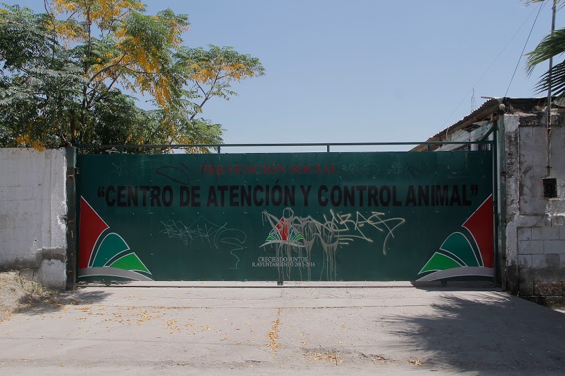 El Centro de Control Canino de Gómez Palacio, será sustituido por el Instituto de Protección Animal en Gómez Palacio.