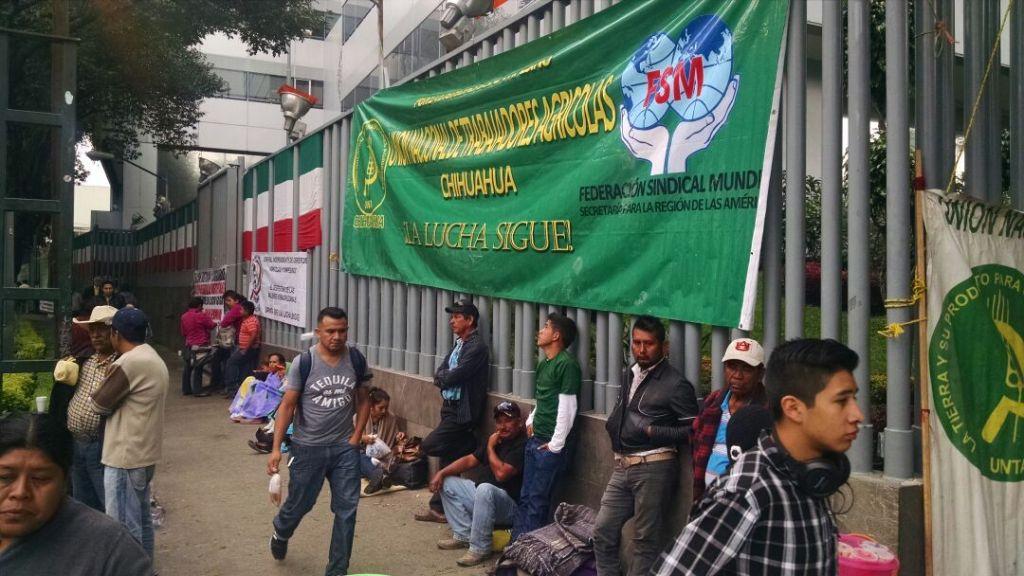 Los integrantes del Frente Autentico de Campesinos afirman no recibir los apoyos destinados a los pequeños y medianos productores.
