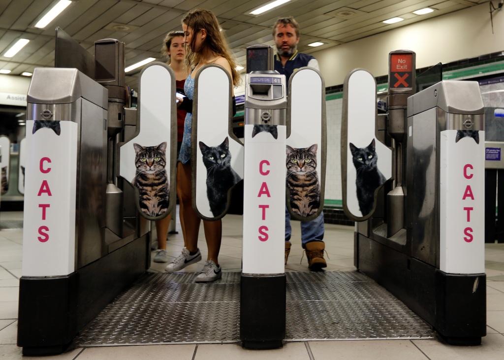 La exhibición de las fotografías son parte de una campaña de adopción.