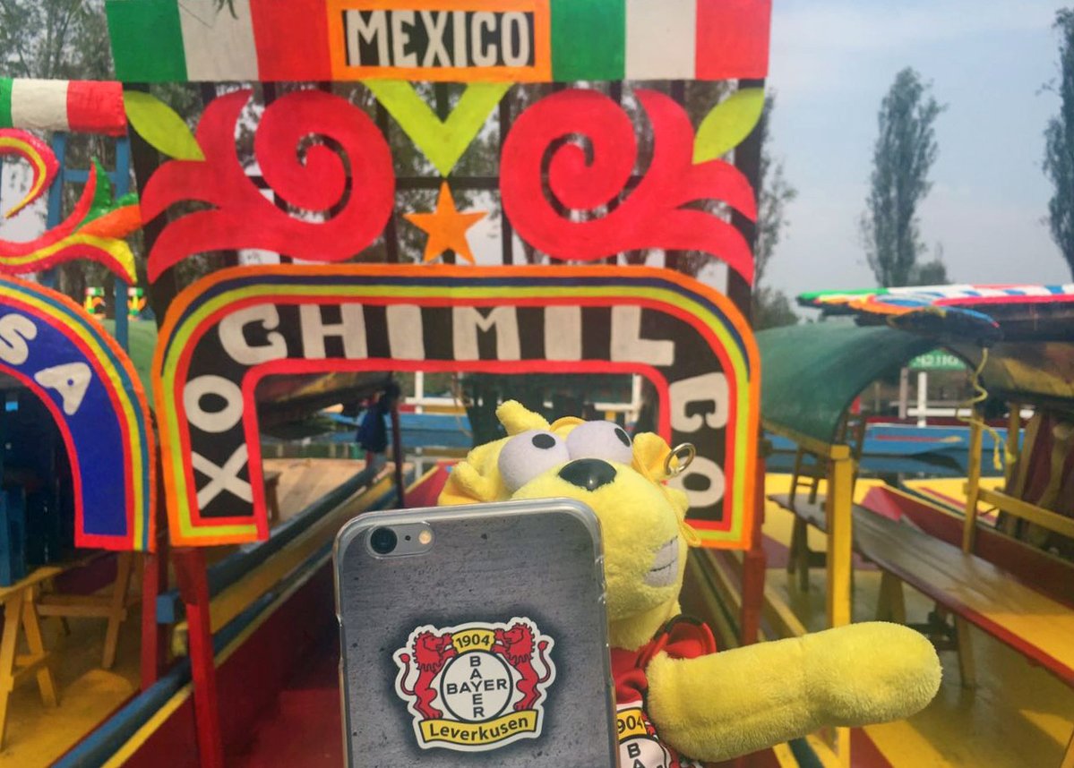 Brian The Lion apareció en las trajineras 