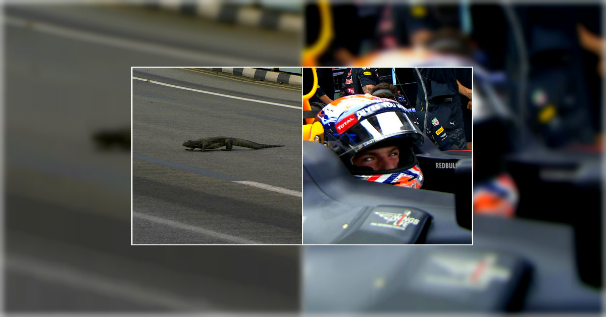 Max Verstappen y su encuentro con 'Godzilla' 