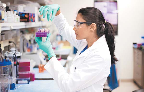 Las Naciones Unidas busca crear incetivos para la investigación.