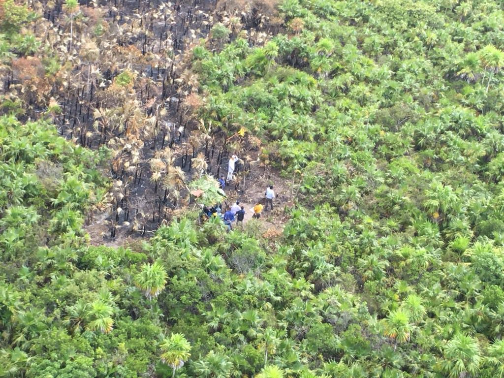 El incendio en la isla está controlado en un 60 por ciento. 