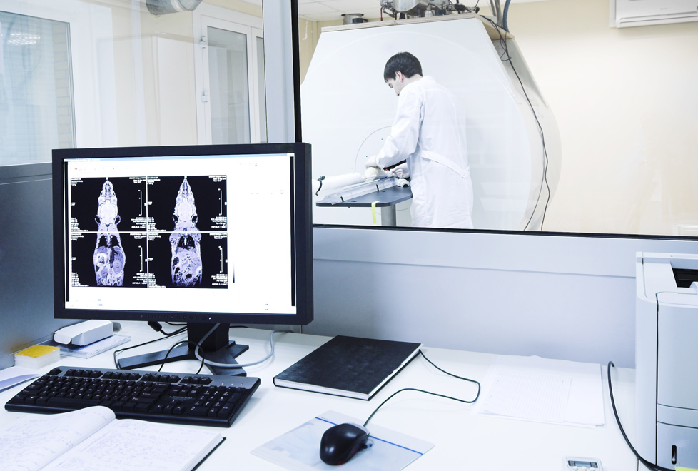 Cada año hay 190,000 casos nuevos de cáncer en México, según un estudio del Incan.
