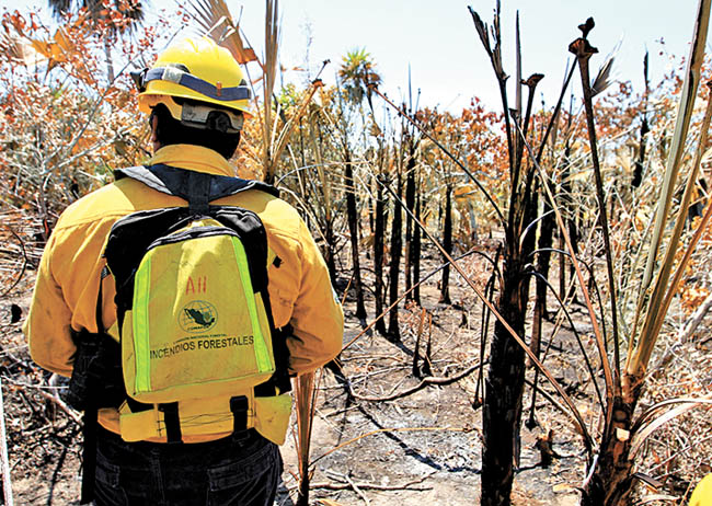 El fuego fue extinguido el pasado miércoles. 