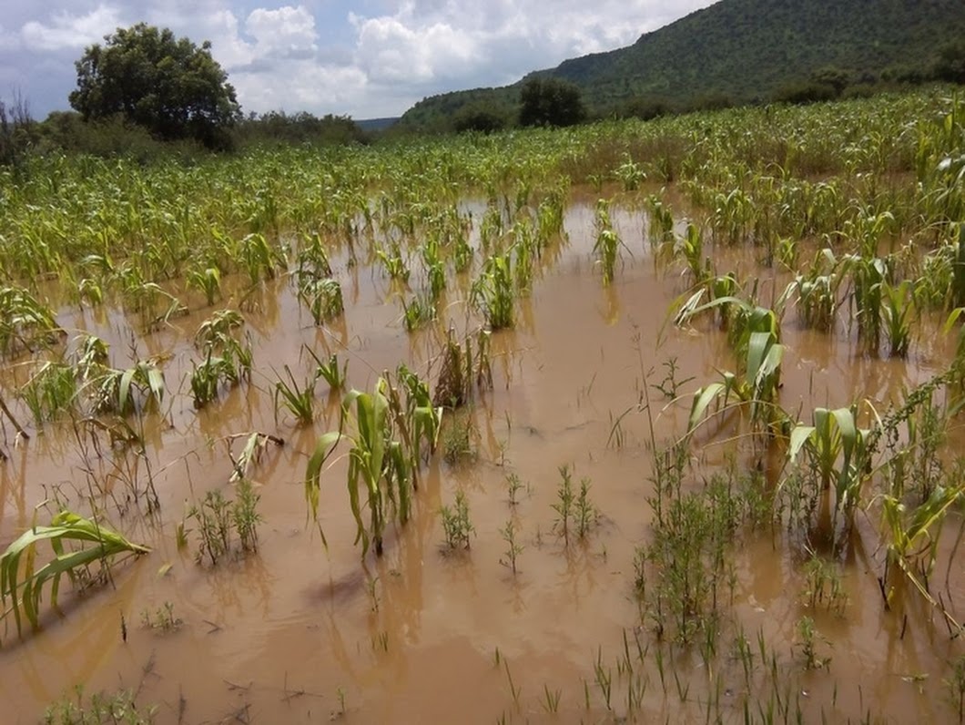 En Durango es urgente un presupuesto adecuado para el campo.