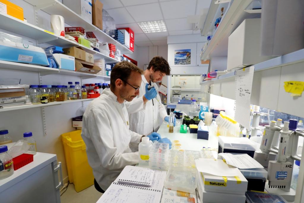 Se estima que para 2016 el número de miembros del Sistema Nacional de Investigadores (SNI) pase de 23 mil 316 a 25 mil 72.