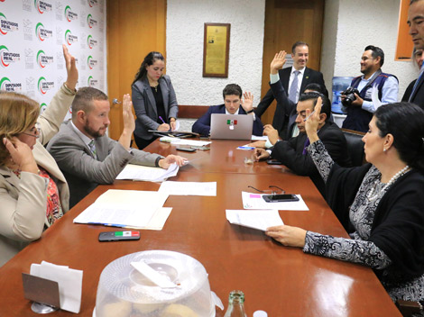 La iniciativa fue aprobada por unanimidad en la Comisión