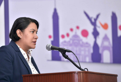 La presidenta de la Comisión de Derechos Humanos capitalina, Perla Gómez, dijo que debe garantizarse plenamente el derecho a la libre expresión en la 