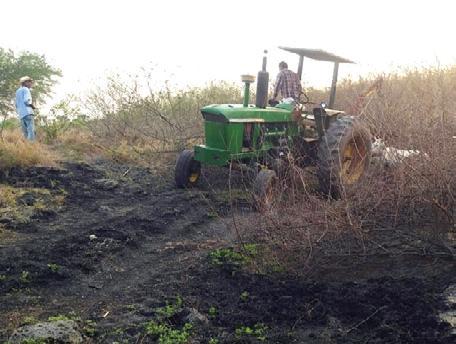 El recorte al presupuesto ha afectado a los agricultores.