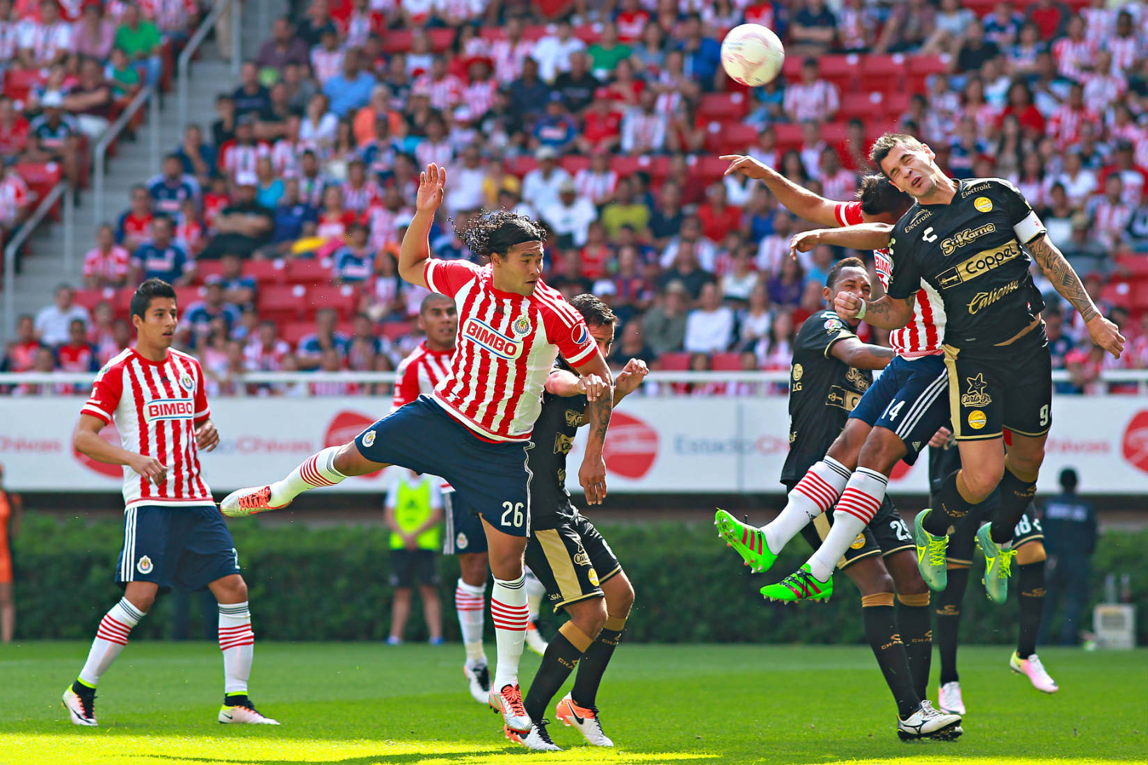 Chivas en el duelo ante Dorados en el Clausura 2016 
