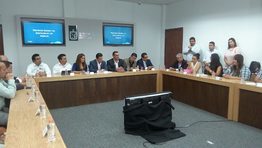 La consulta inició a través de una mesa de discusión con funcionarios federales, estatales, municipales y especialistas en el tema.