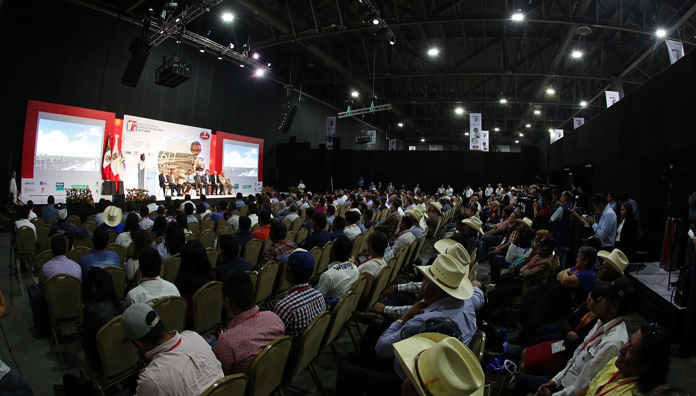 Este jueves, se inauguró el Expo Regional Bovino 2016.