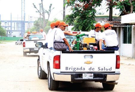 Un vehículo logra fumigar 50 manzanas en un día.
