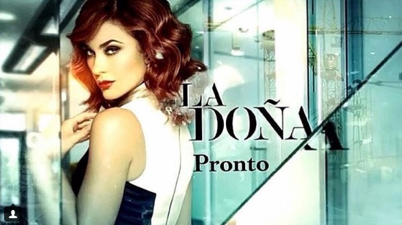 Aracely Arámbula. 