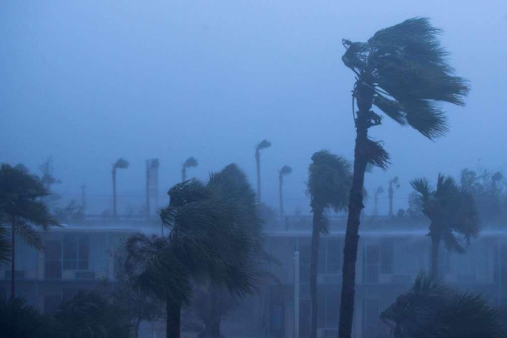 Vero Beach fue una de las primeras zonas en sufrir los efectos del huracán.