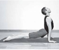 Urdhva Mukha Shvanasana o Perro mirando arriba