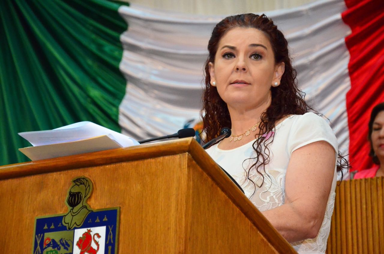 La presidenta de la comisión Anticorrupción, Yanira Gómez, presentó los pormenores.