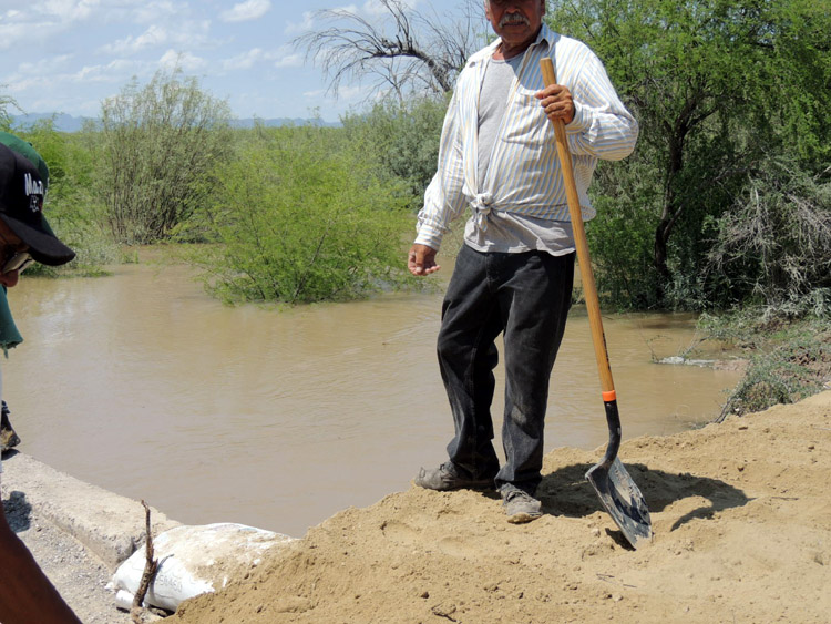 En cuanto a la actividad ganadera no hubo pérdidas económicas importantes, solamente se tiene un reporte de la muerte de diez cabezas.