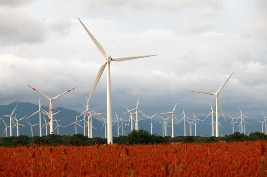 El campo eólico Piedra Larga suministra energía eléctrica a la mayor parte de las instalaciones de Bimbo en México.