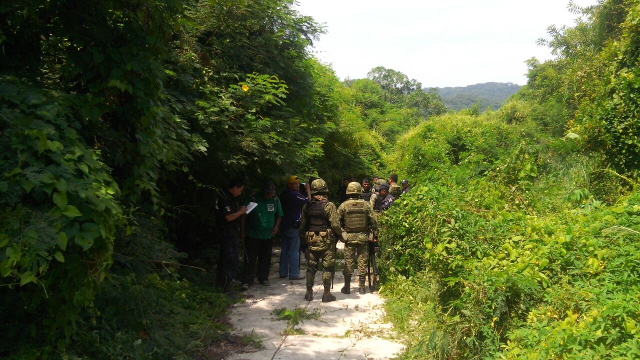 El cadáver de la mujer fue encontrado entre la maleza. 