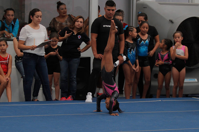 Inició la XVIII Copa AGOT 2016 en Torreón.