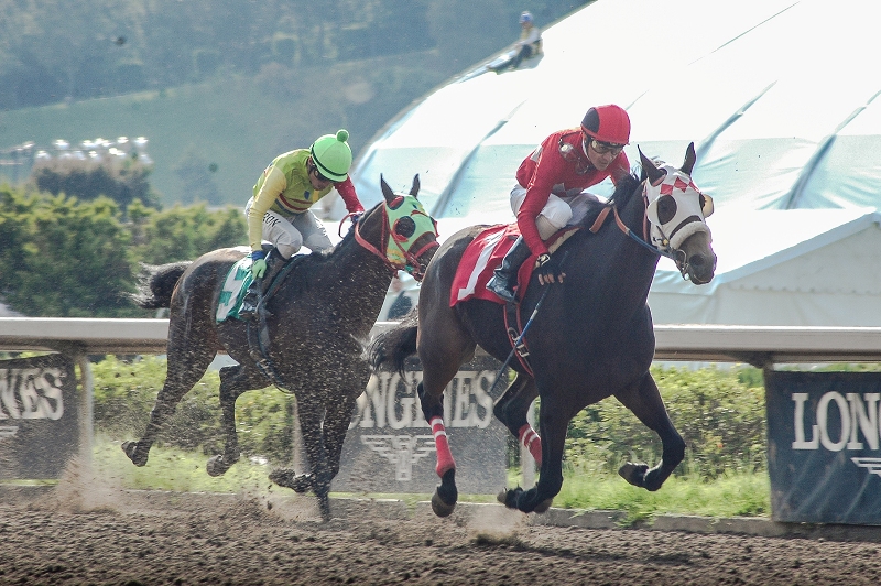 Acción de la carrera en el Hipódromo de la Américas 