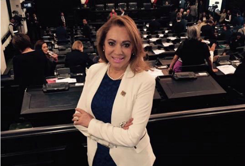La diputada constituyente Aída Arregui Guerrero, del Partido Encuentro Social, dijo que este martes entregará al presidente de la Asamblea Constituyen