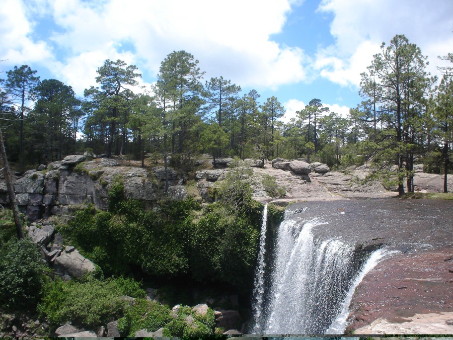 Reserva de Biosfera de la zona de la Michilía, Durango.