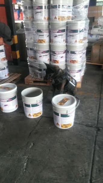 Personal de la Unidad Canina Especializada (UCE), aseguró las cubetas, junto con la droga