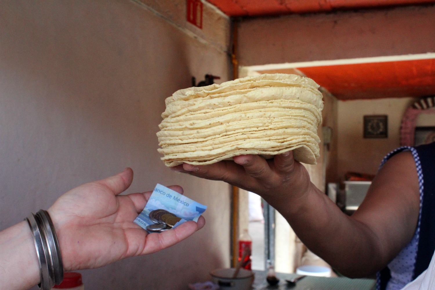 Visitaron algunos establecimientos para invitar a los expendios a unificar criterios y el precio de la tortilla.