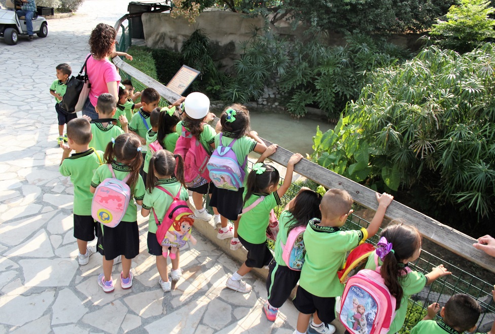 Será muy probable que en tu recorrido te encuentres con grupos de niños emocionados por ver a los animales en su hábitat. 