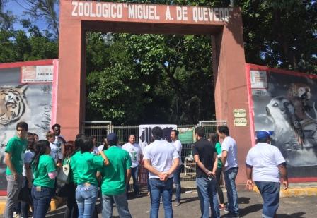 José González, regidor municipal de Veracruz añadió que solicitará la prohibición del uso de caballos para jalar carretones.