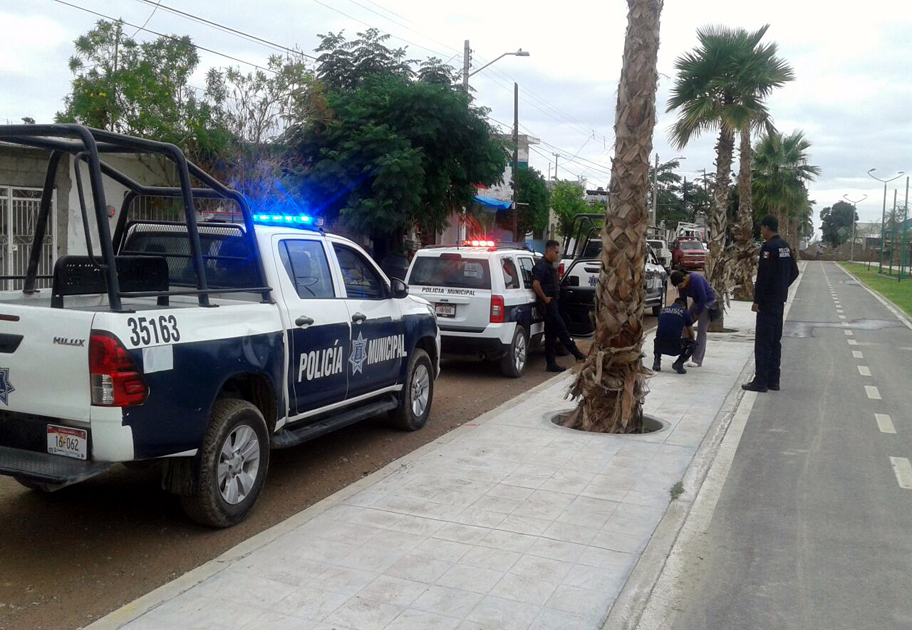Tres perros atacaron a mujer en la colonia Rincón La Merced.
