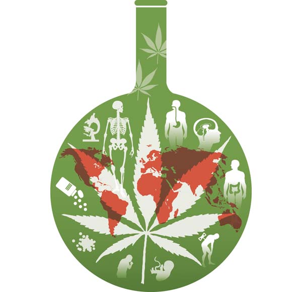 Este año, en el que más se ha impulsado su apertura medicinal.