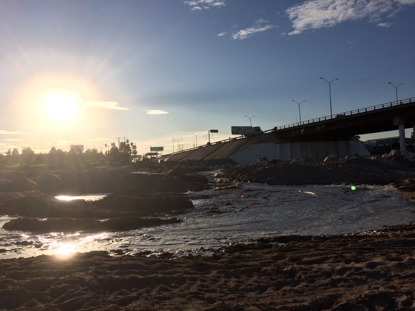 En La Laguna de Durango, las lluvias y las avenidas del río Nazas, ahogaron 212 hectáreas de cultivo.