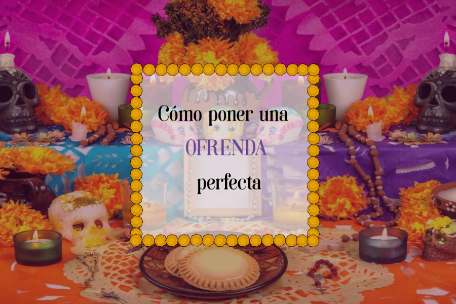 Te decimos todo lo que necesitas para poner tu ofrenda. 