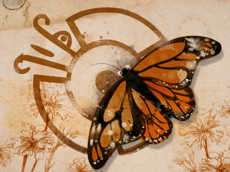 En la zona, purépechas y mazahuas consideran que las mariposas son mensajeras de los dioses y representan los espíritus de sus antepasados. 