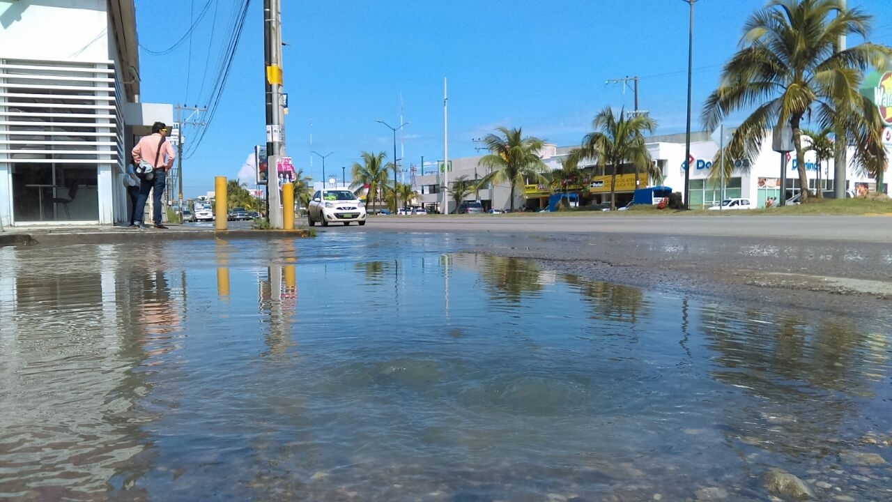 La problemática se localiza en Avenida Las Torres y Tampico-Mante,