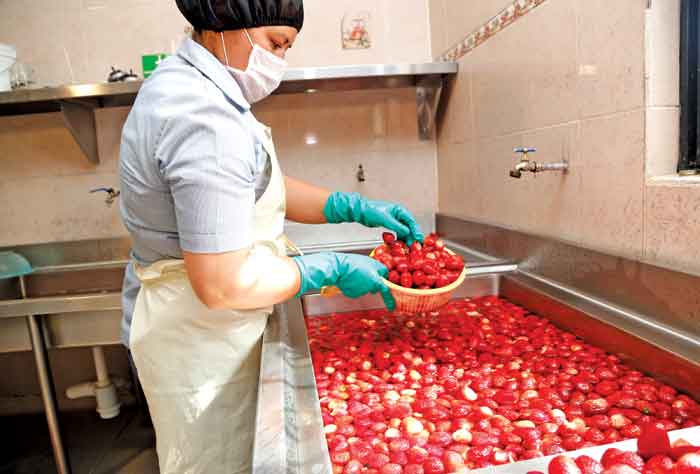 La cadena de restaurantes Toks tiene un programa en el que emplea productos elaborados por comunidades indígenas de todo el país.