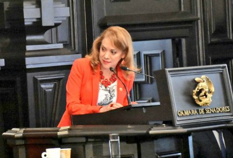 La diputada constituyente Aida Arregui, del Partido Encuentro Social, propuso que en la Constitución de la CdMx se establezca que el matrimonio solo s