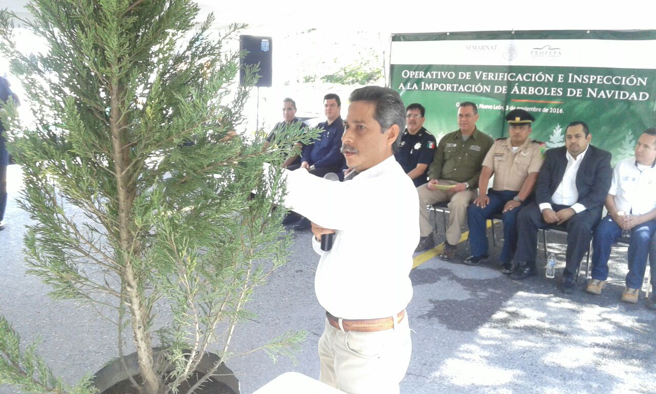 En el evento se dio una explicación de cómo detectar las plagas en los árboles de navidad.