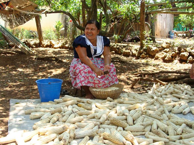 Levy Arrocena dijo que en apoyo a productoras del campo han sido impulsados programas específicos para su fortalecimiento en el sector.