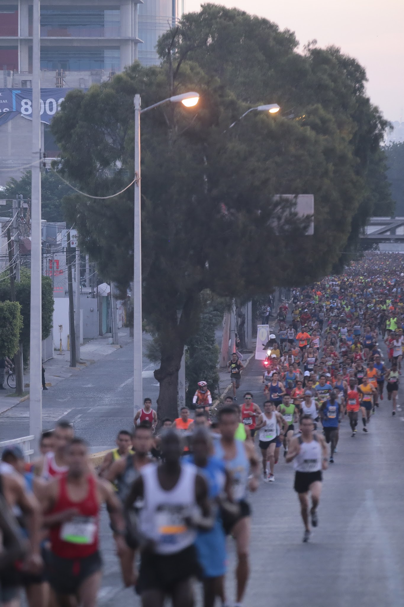 Maratón de Guadalajara