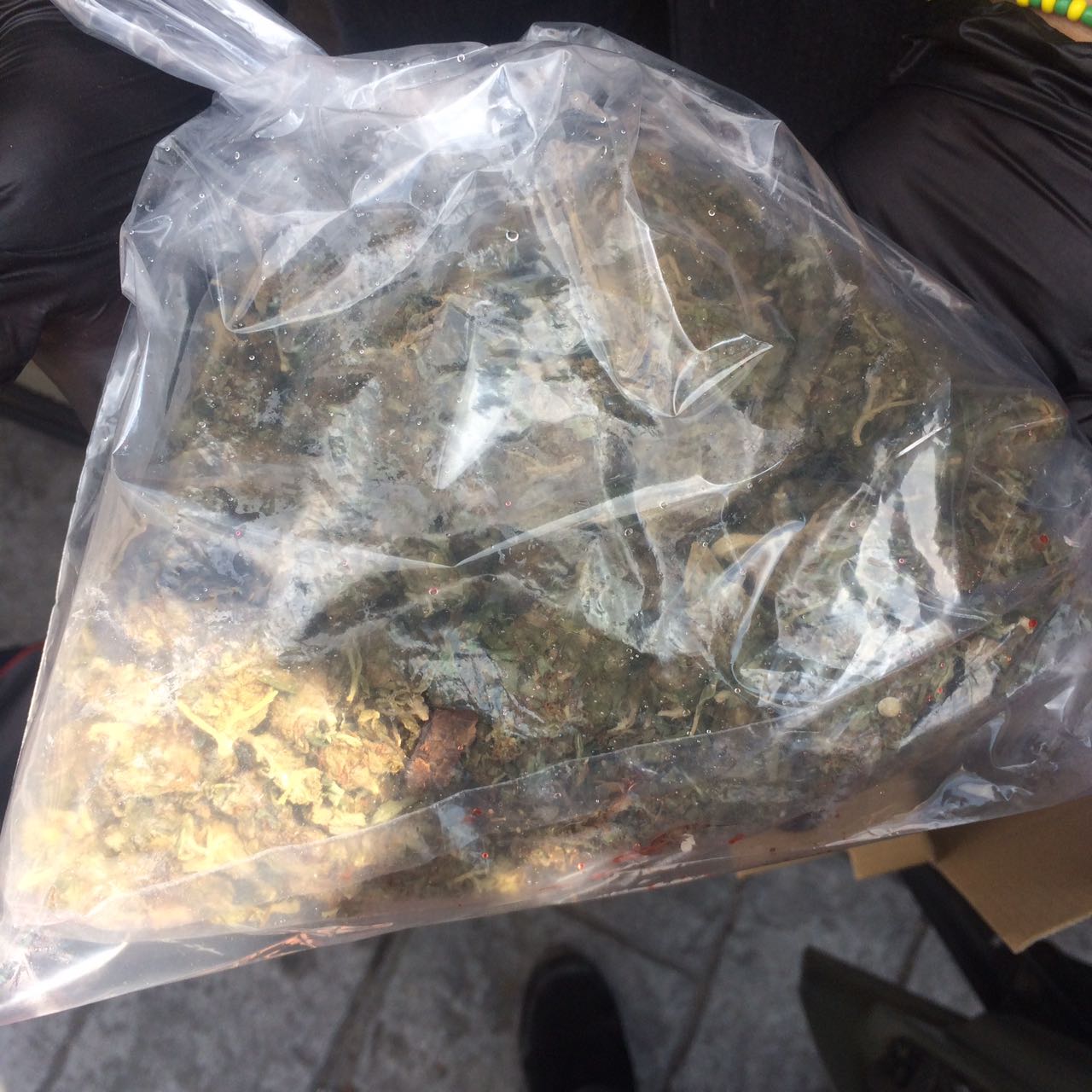 Decomisan una bolsa con hierba verde con las características de la mariguana.