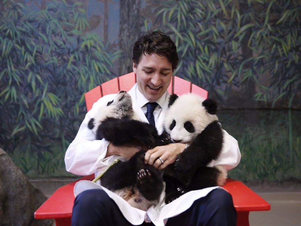 El Primer Ministro de Canadá, Justin Trudeau. 